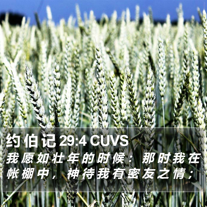约 伯 记 29:4 CUVS Bible Study