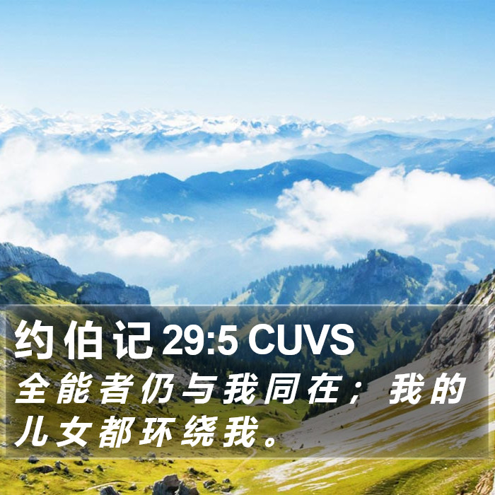 约 伯 记 29:5 CUVS Bible Study