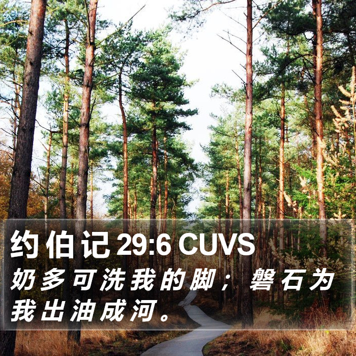 约 伯 记 29:6 CUVS Bible Study