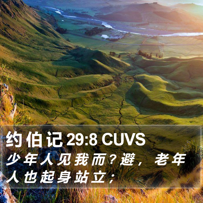 约 伯 记 29:8 CUVS Bible Study