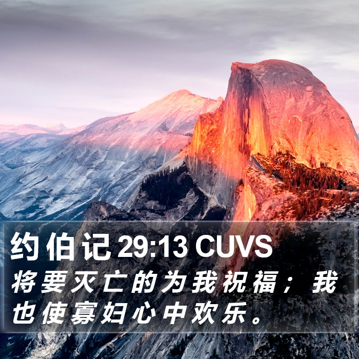 约 伯 记 29:13 CUVS Bible Study