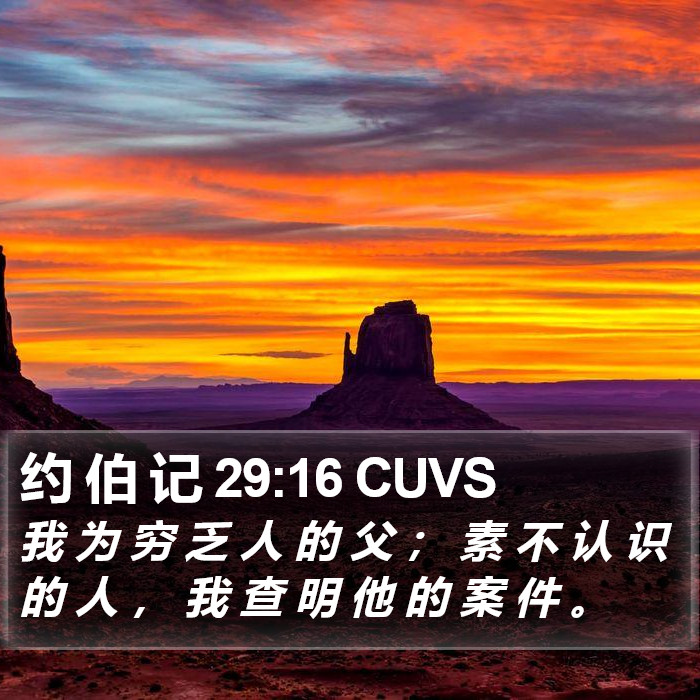 约 伯 记 29:16 CUVS Bible Study