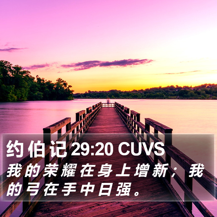 约 伯 记 29:20 CUVS Bible Study