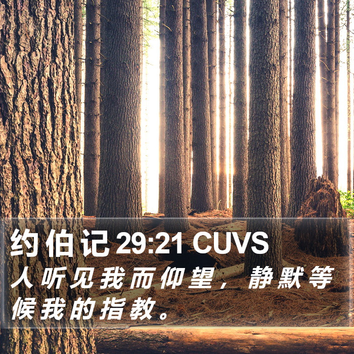 约 伯 记 29:21 CUVS Bible Study
