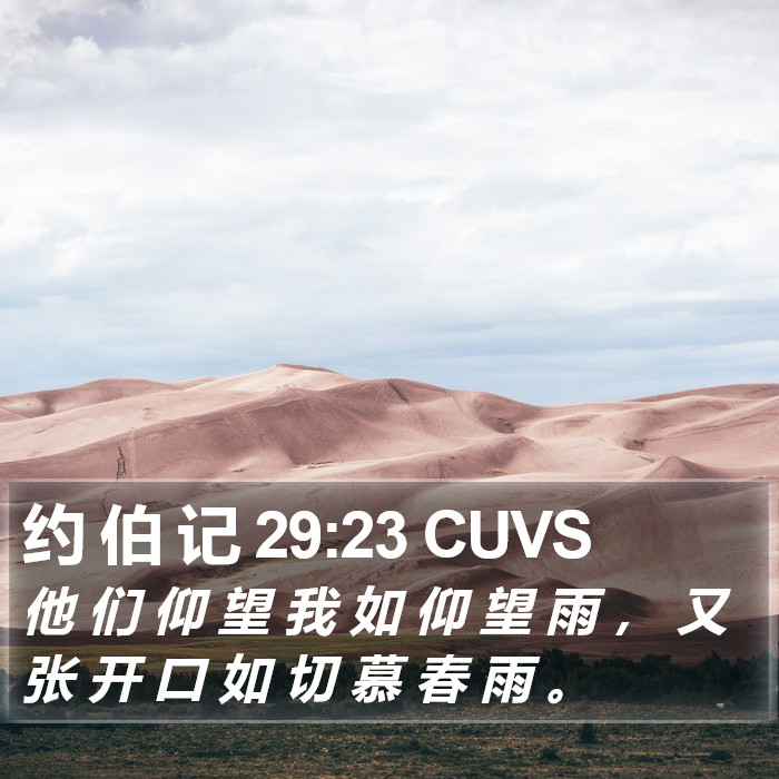 约 伯 记 29:23 CUVS Bible Study