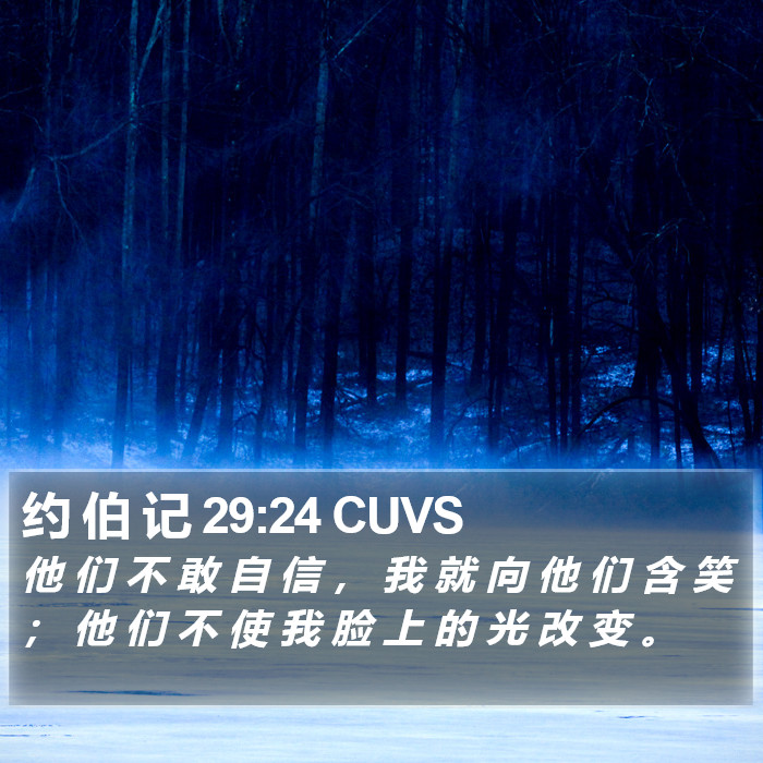 约 伯 记 29:24 CUVS Bible Study
