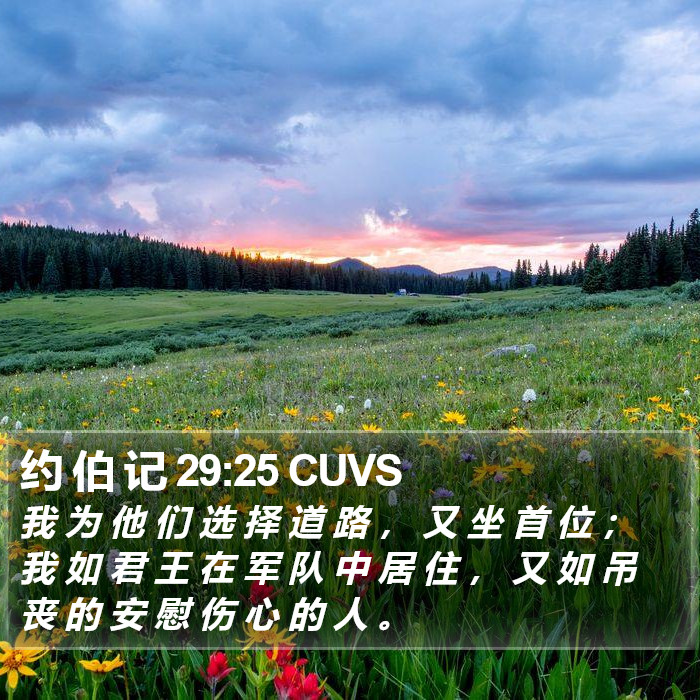 约 伯 记 29:25 CUVS Bible Study