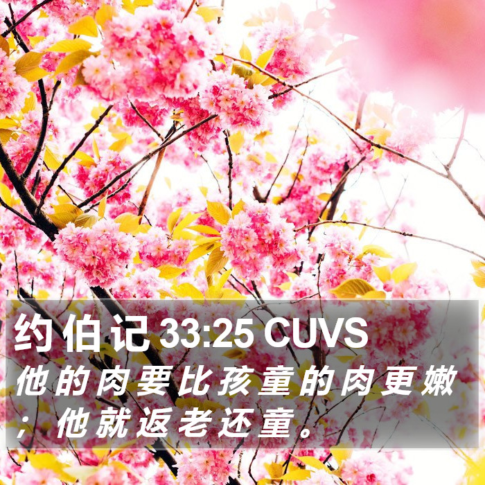 约 伯 记 33:25 CUVS Bible Study