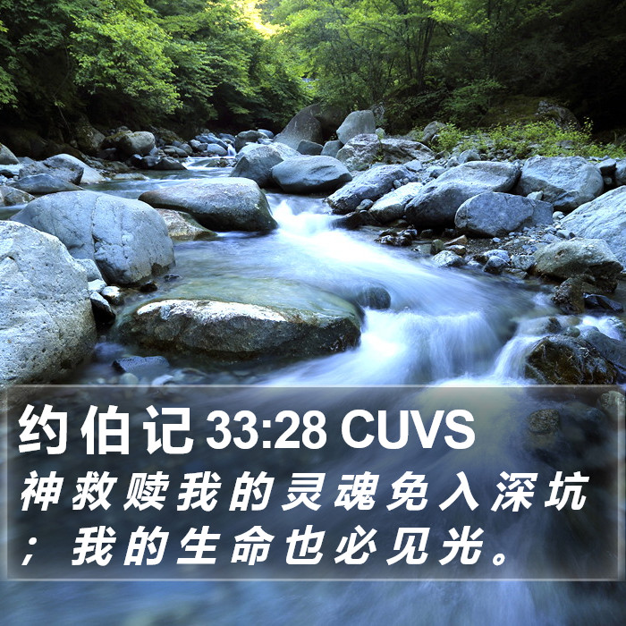 约 伯 记 33:28 CUVS Bible Study
