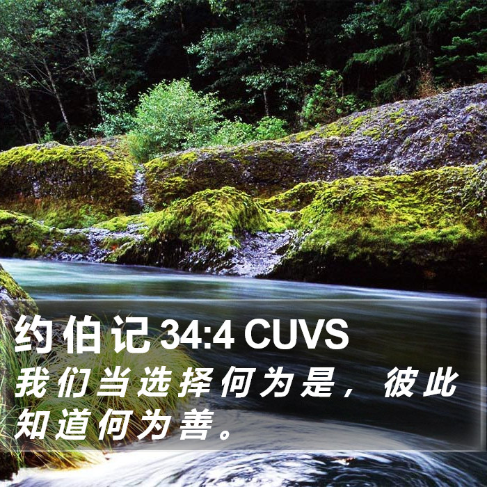 约 伯 记 34:4 CUVS Bible Study