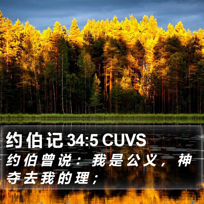 约 伯 记 34:5 CUVS Bible Study