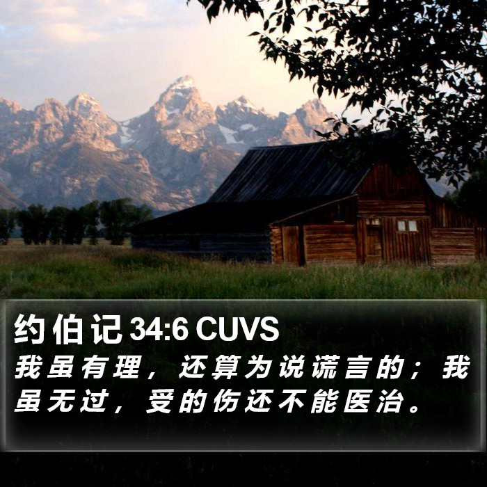 约 伯 记 34:6 CUVS Bible Study