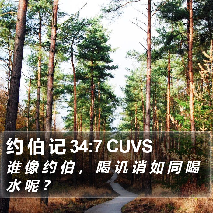 约 伯 记 34:7 CUVS Bible Study