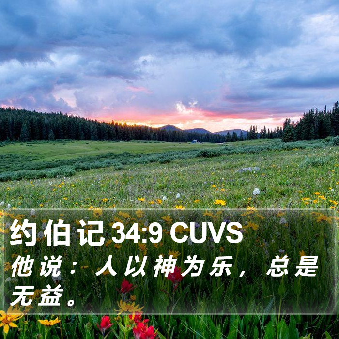 约 伯 记 34:9 CUVS Bible Study