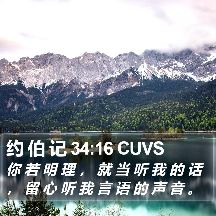 约 伯 记 34:16 CUVS Bible Study