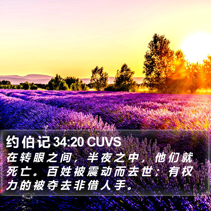 约 伯 记 34:20 CUVS Bible Study