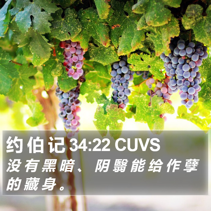 约 伯 记 34:22 CUVS Bible Study
