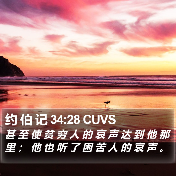 约 伯 记 34:28 CUVS Bible Study
