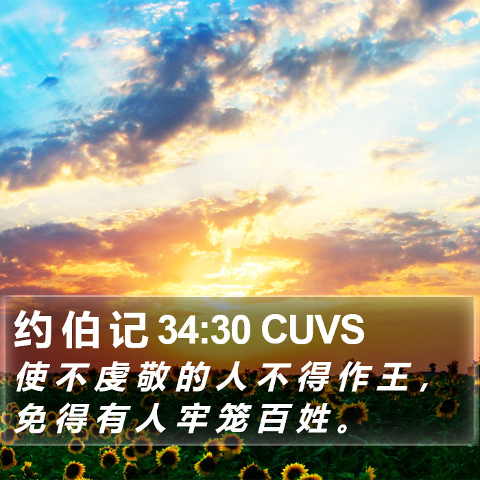 约 伯 记 34:30 CUVS Bible Study