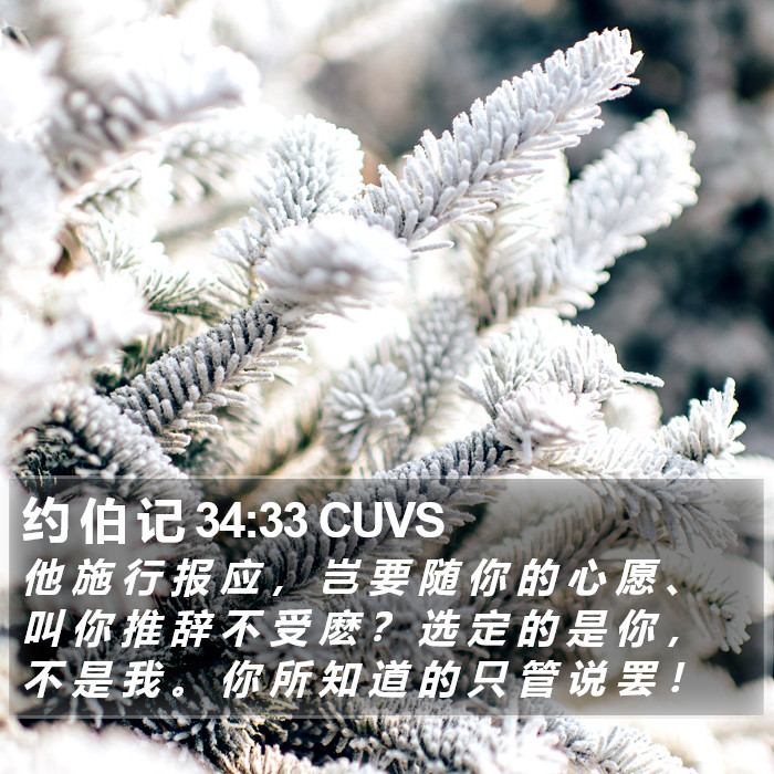 约 伯 记 34:33 CUVS Bible Study