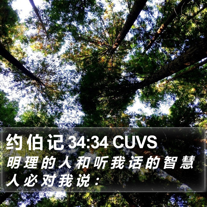 约 伯 记 34:34 CUVS Bible Study