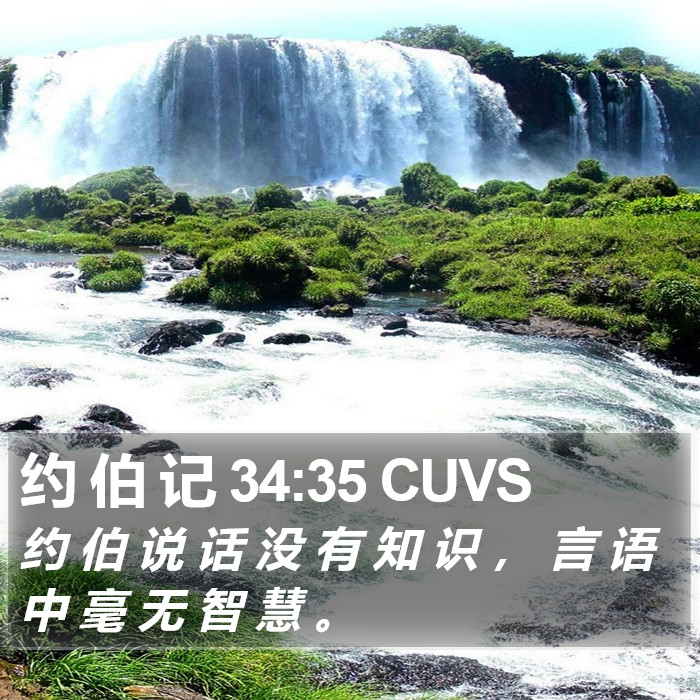 约 伯 记 34:35 CUVS Bible Study