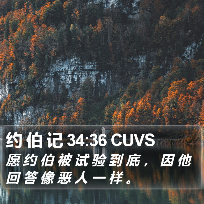 约 伯 记 34:36 CUVS Bible Study