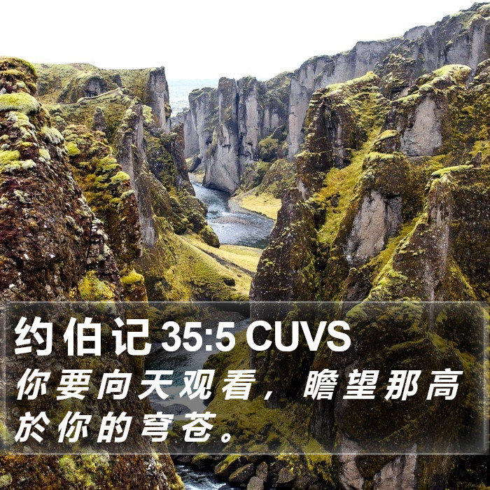 约 伯 记 35:5 CUVS Bible Study