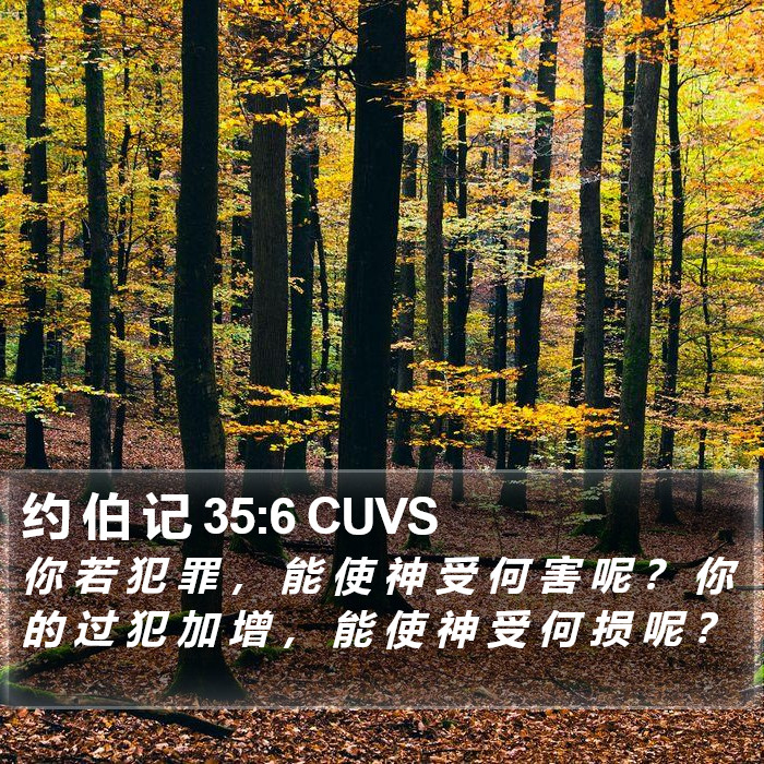 约 伯 记 35:6 CUVS Bible Study