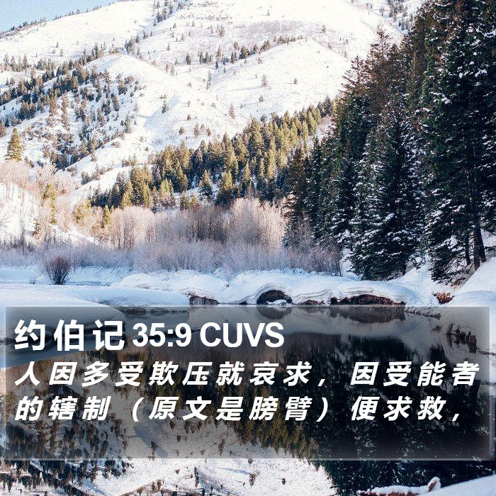 约 伯 记 35:9 CUVS Bible Study