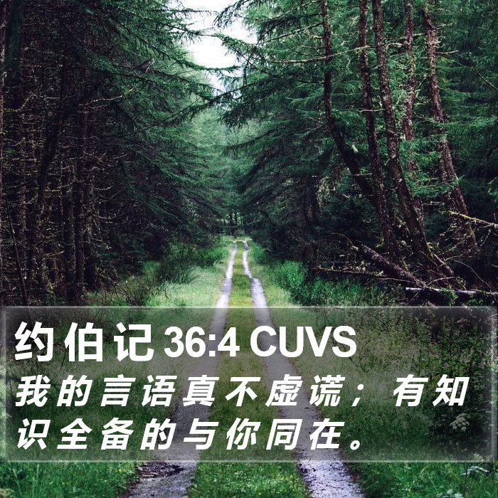 约 伯 记 36:4 CUVS Bible Study