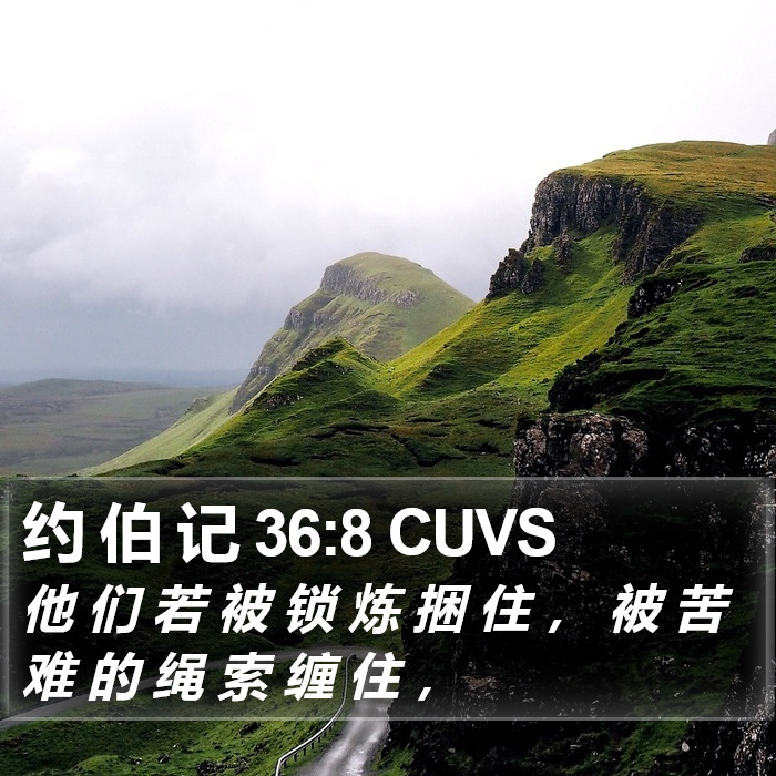 约 伯 记 36:8 CUVS Bible Study