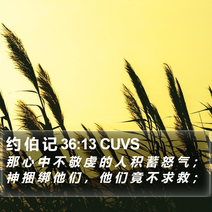 约 伯 记 36:13 CUVS Bible Study