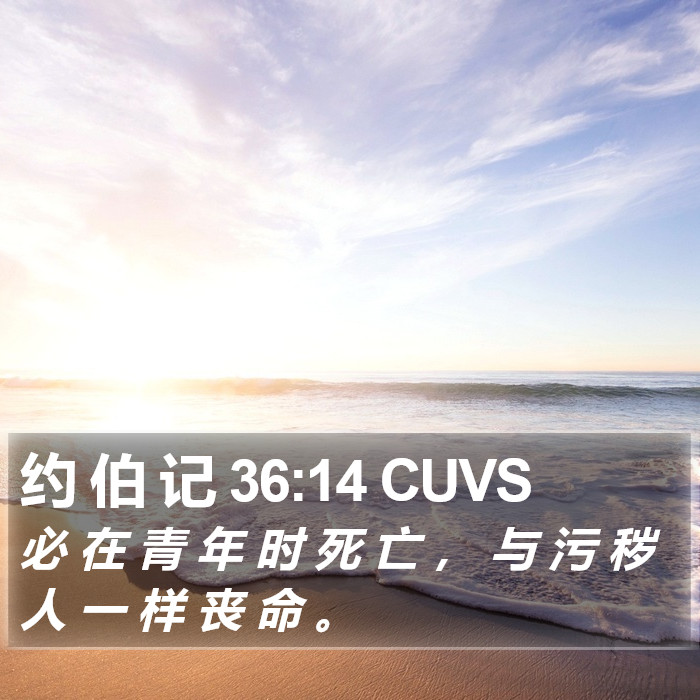 约 伯 记 36:14 CUVS Bible Study