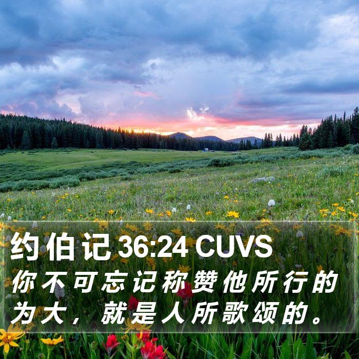 约 伯 记 36:24 CUVS Bible Study