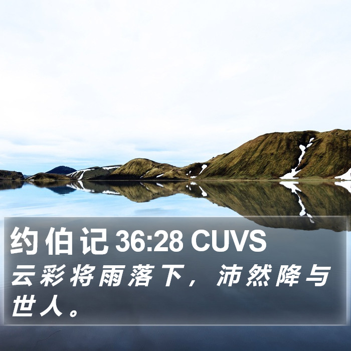 约 伯 记 36:28 CUVS Bible Study