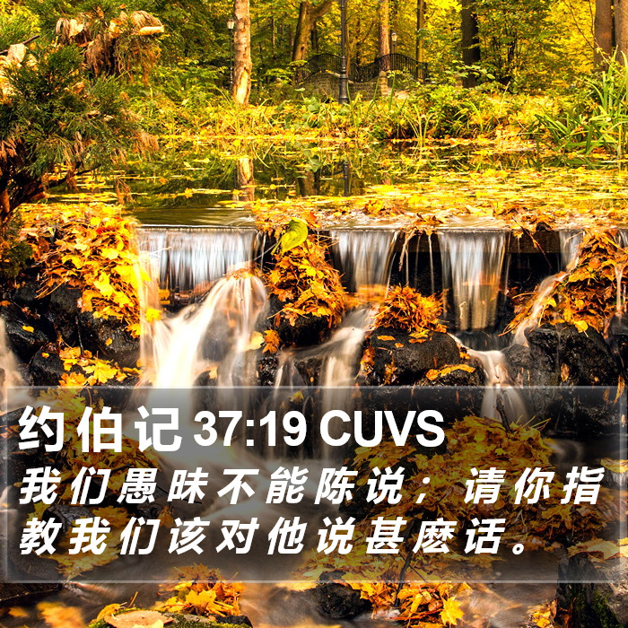 约 伯 记 37:19 CUVS Bible Study