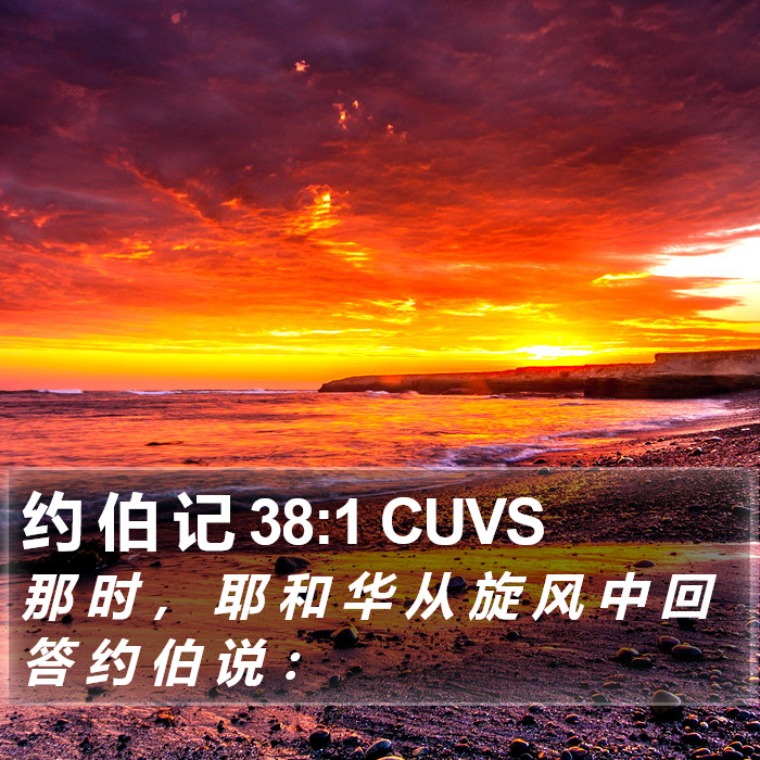 约 伯 记 38:1 CUVS Bible Study