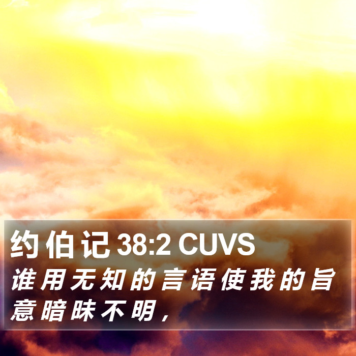 约 伯 记 38:2 CUVS Bible Study
