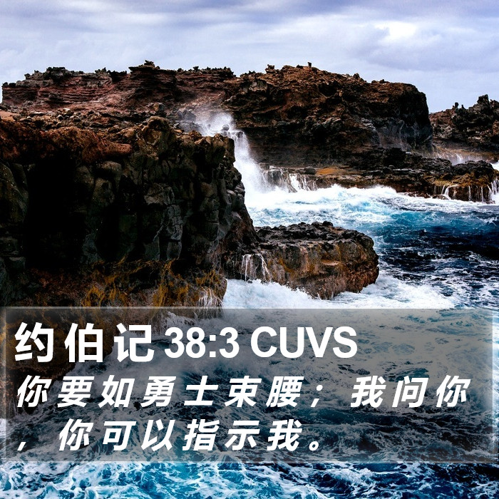 约 伯 记 38:3 CUVS Bible Study