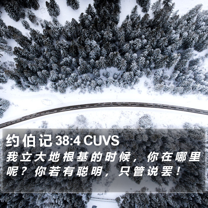 约 伯 记 38:4 CUVS Bible Study
