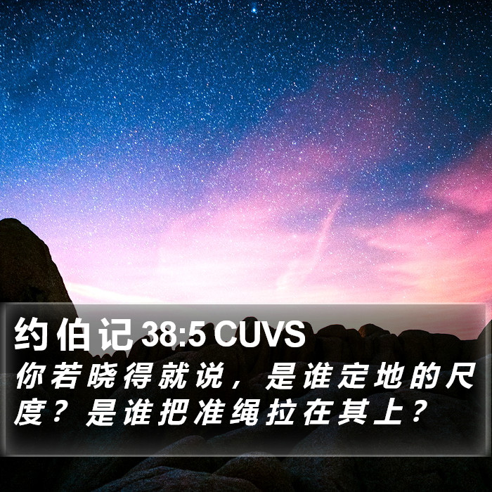 约 伯 记 38:5 CUVS Bible Study