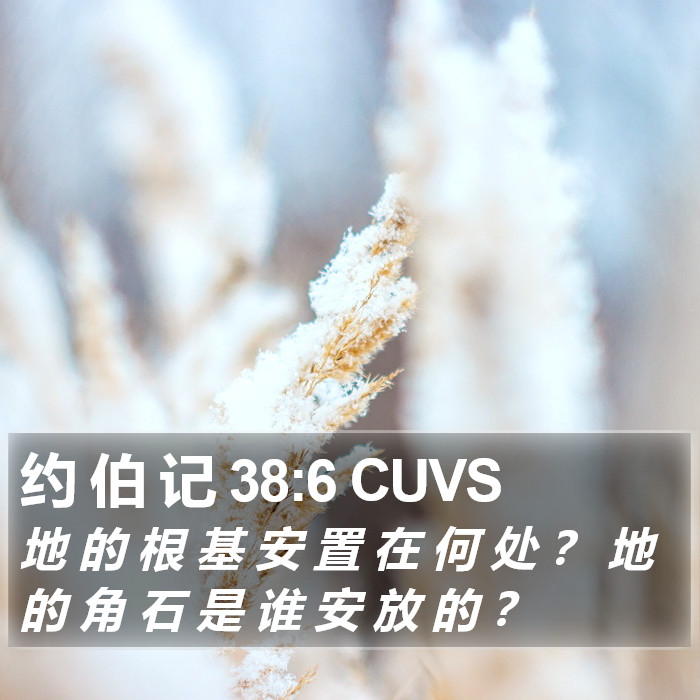 约 伯 记 38:6 CUVS Bible Study