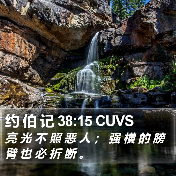 约 伯 记 38:15 CUVS Bible Study