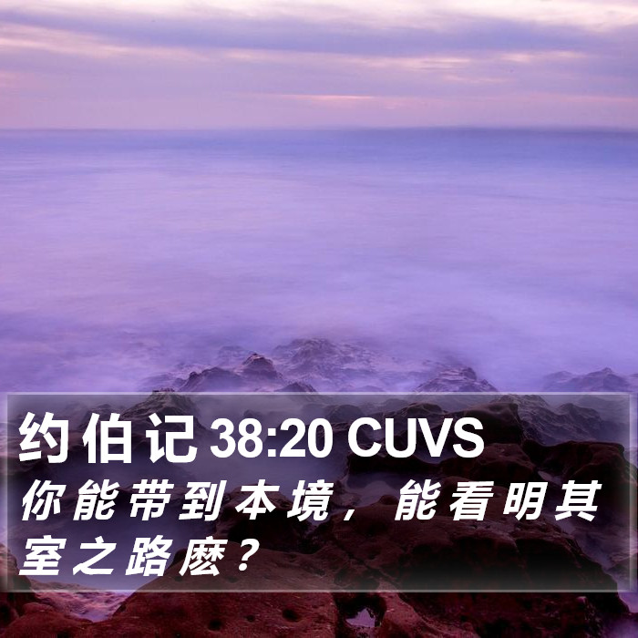 约 伯 记 38:20 CUVS Bible Study