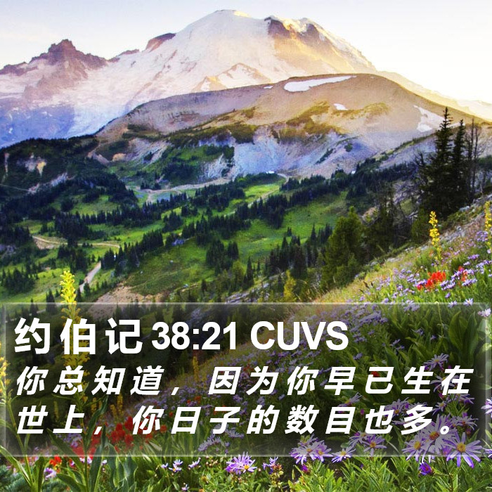约 伯 记 38:21 CUVS Bible Study