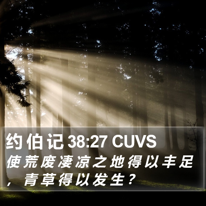 约 伯 记 38:27 CUVS Bible Study
