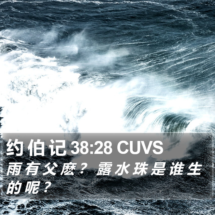 约 伯 记 38:28 CUVS Bible Study