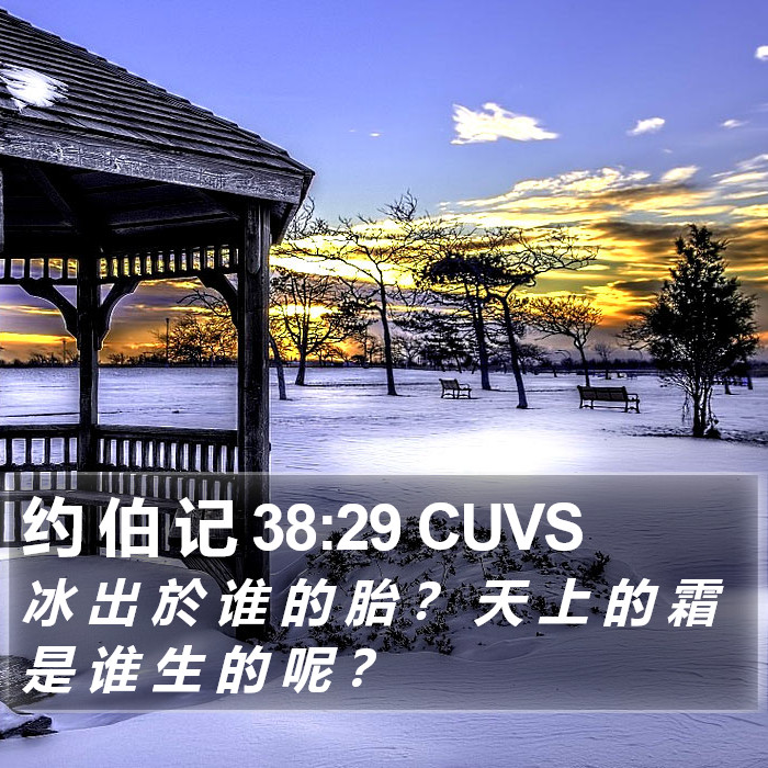 约 伯 记 38:29 CUVS Bible Study