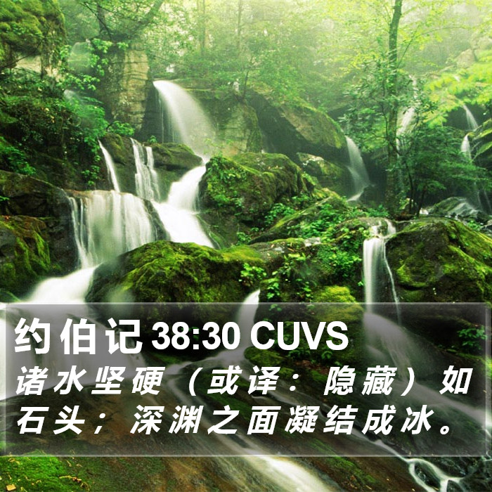 约 伯 记 38:30 CUVS Bible Study